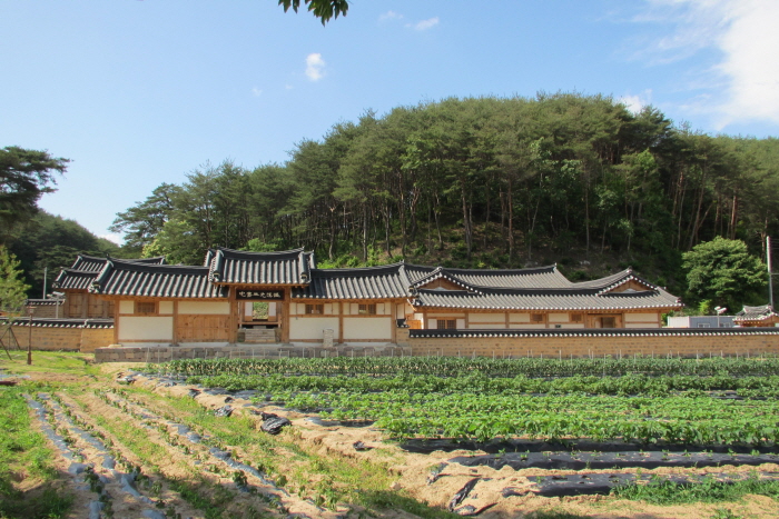 On-gye Jongtaeg  (Sambaegdang)  / 온계종택 삼백당