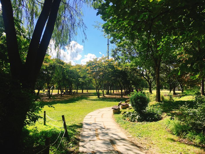 Forêt de Séoul (서울숲)