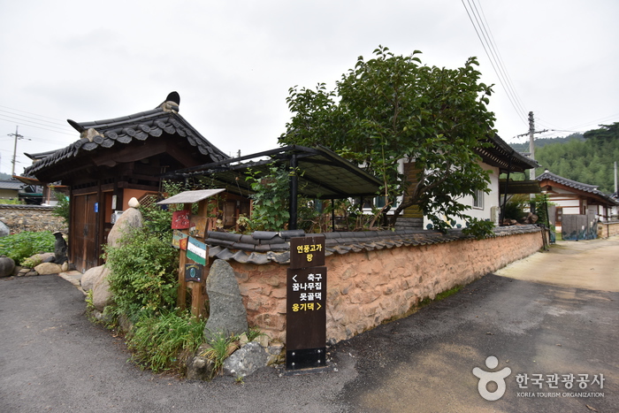 The House of Soccer kkumnamu (Future Soccer Player) / 축구꿈나무집