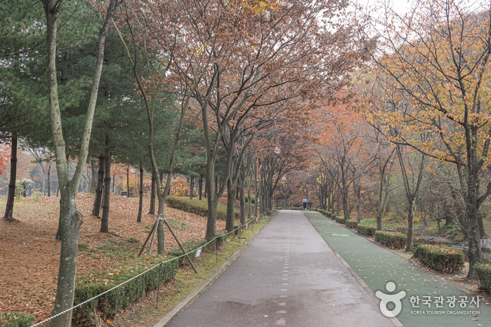 Parc naturel de Yuldong (율동공원)