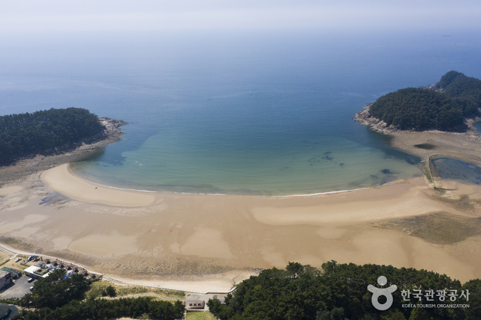 Plage de Cheollipo (천리포해수욕장)