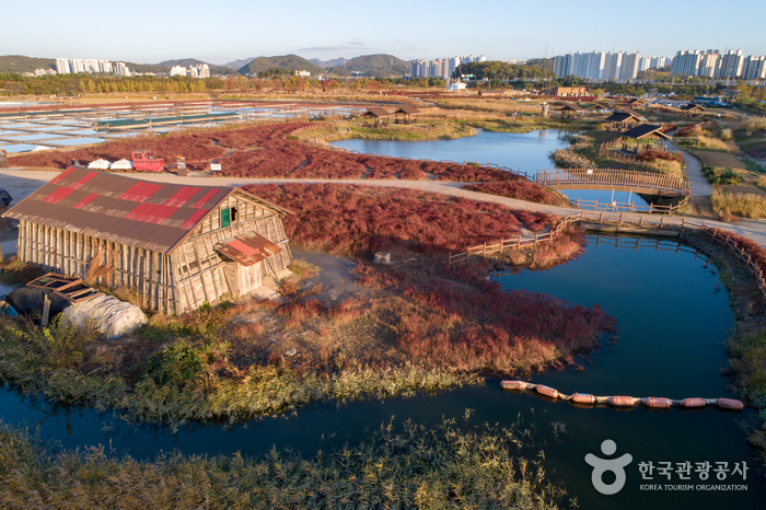 Parc écologique des vasières de Siheung (시흥 갯골생태공원)