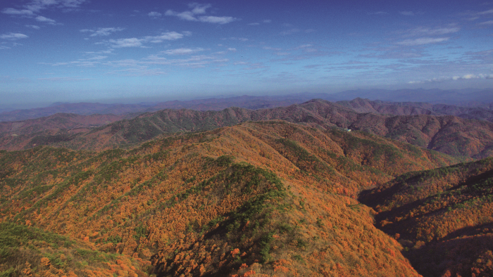 Parc provincial du Mt.Chilgapsan (칠갑산도립공원)