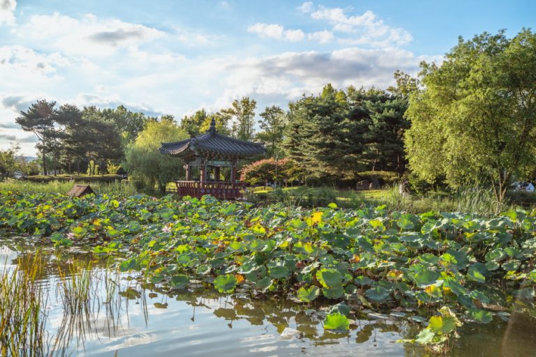 Parc Yurim (유림공원)