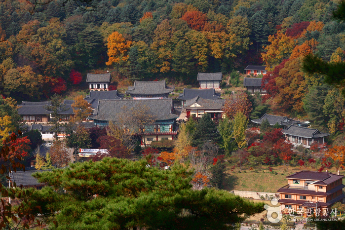 Bongseonsa (Gyeonggi) (봉선사(경기))