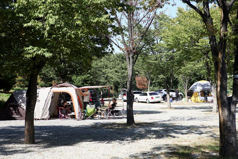 Camping du village Jeonwonilgi (전원일기마을캠핑장)