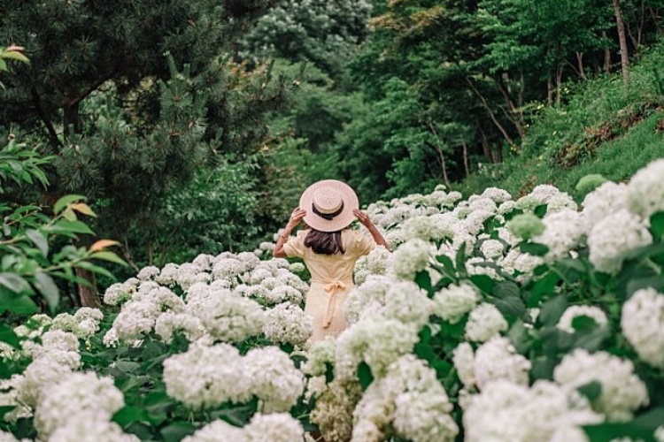 Parc botanique de Samsunsan (삼선산수목원)
