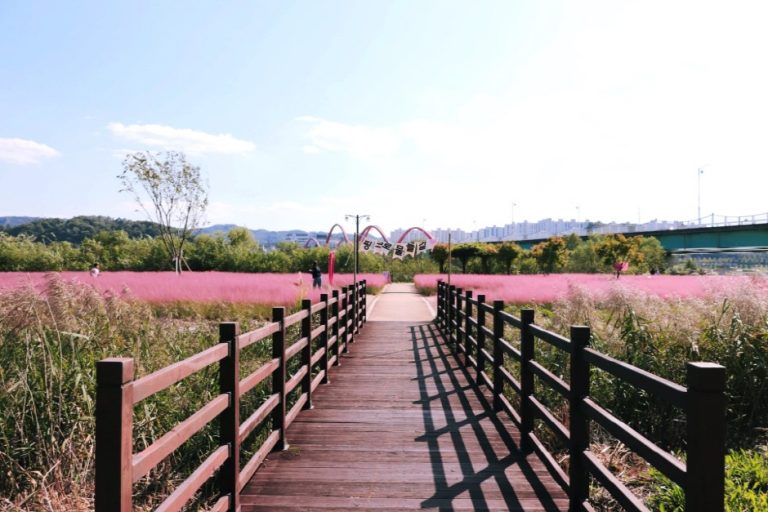 Parc Grasswon (그라스원)