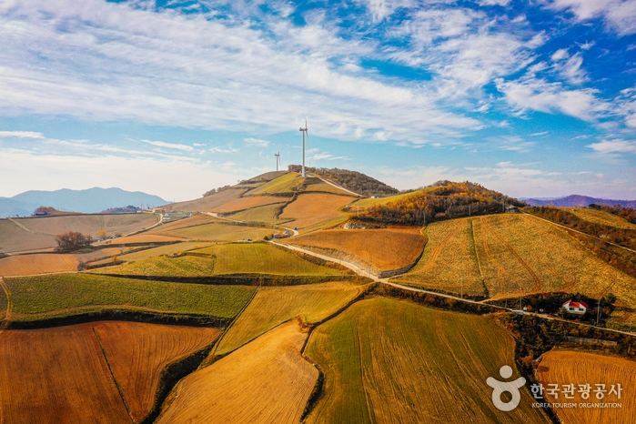 Village Anbandegi (안반데기 마을)