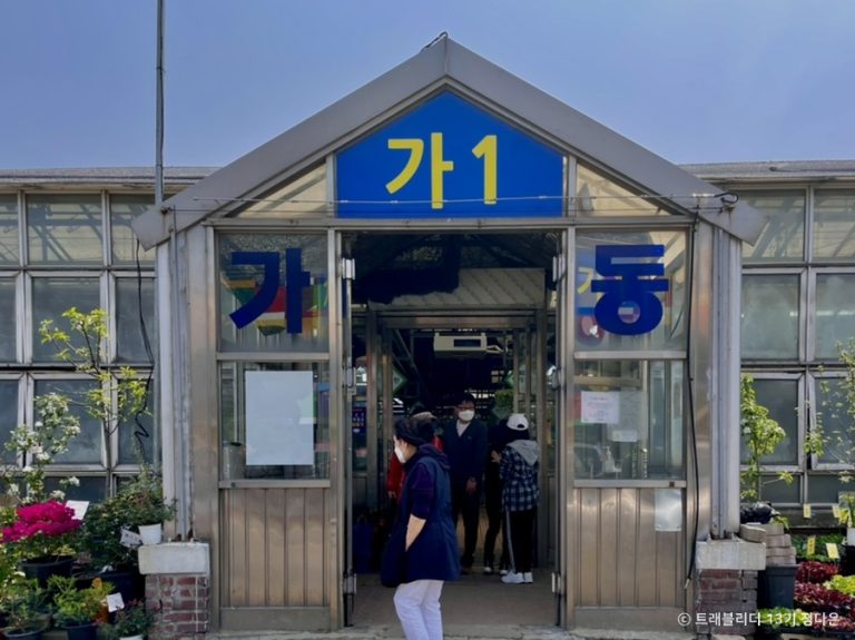 Marché aux fleurs de Yangjae (양재꽃시장)