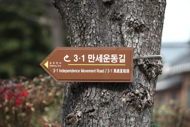 Rue du Mouvement d&rsquo;Indépendance 3·1 de Daegu (3·1만세운동길)