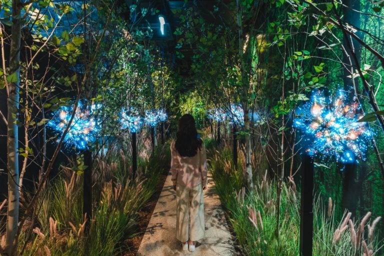 Discovery Naturescape – Dongtan (디스커버리 네이처스케이프 동탄점)