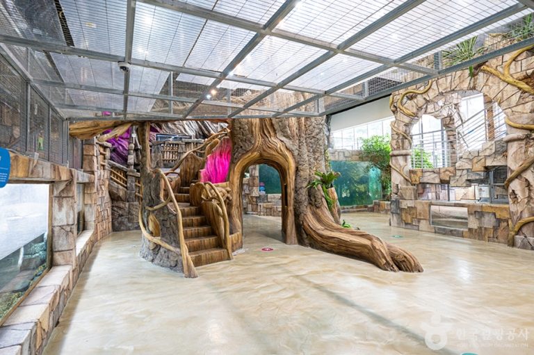 Parc des oiseaux d’Osan (오산버드파크)