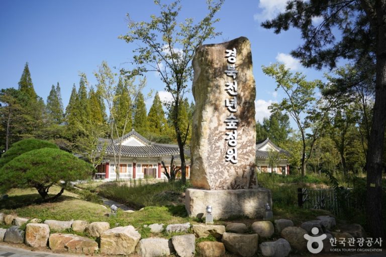 Jardin de la Forêt du Millénaire de Gyeongbuk(경북천년숲정원)