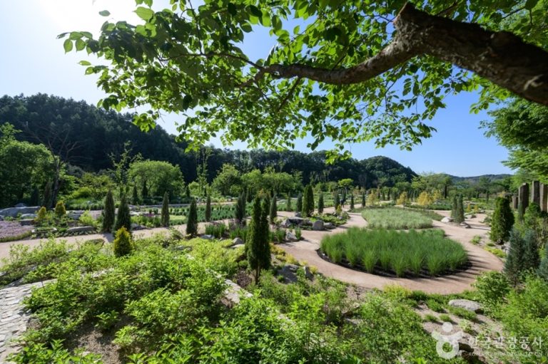 The Stay Healing Park (parc dédié à la détente) (더스테이힐링파크)
