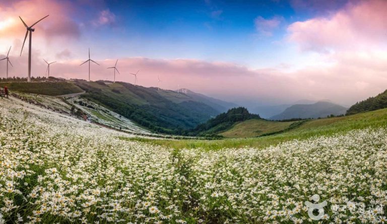 Yukbaek Majigi à Pyeongchang (평창 육백마지기)