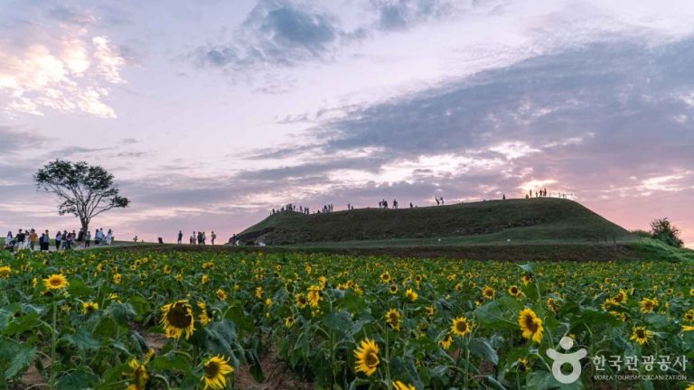 Horogoru à Yeoncheon (연천 호로고루)