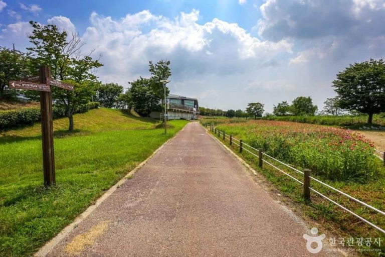 Piste cyclable de la rivière Yeongsangang (영산강 자전거길)