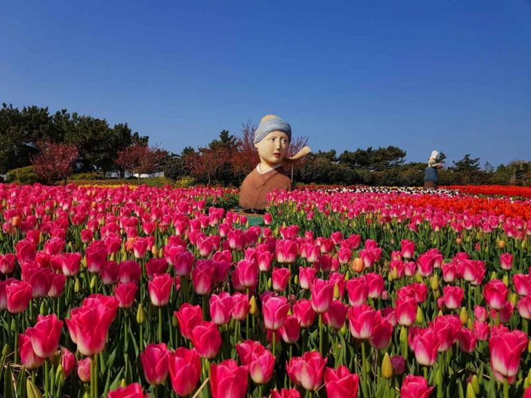 Le parc Korea Flower Park (코리아플라워파크)