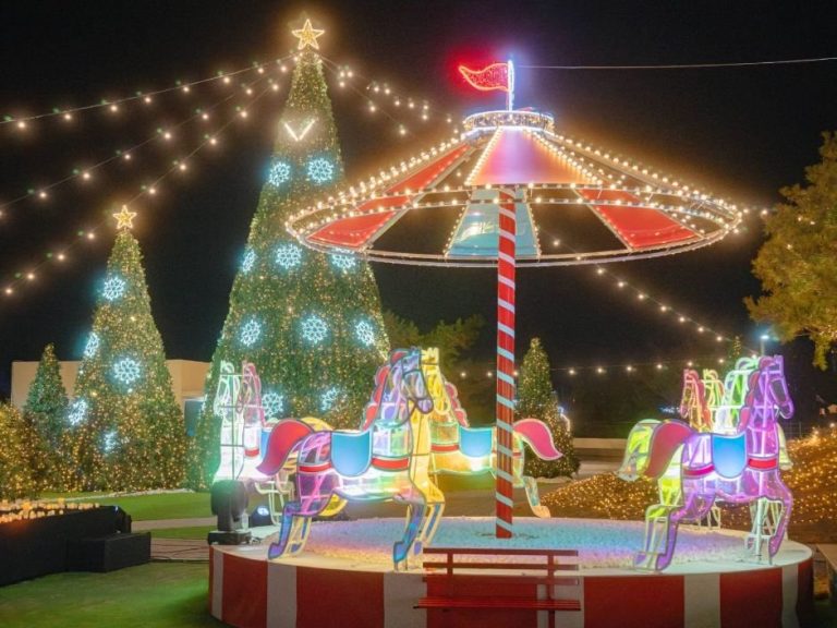 Festival de Noël du mont Apsan (앞산크리스마스축제)