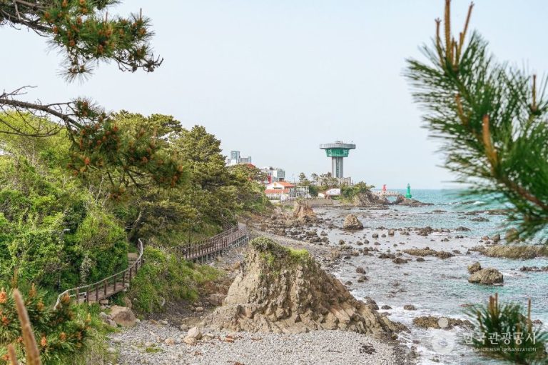 Chemin du son des vagues (파도소리길)