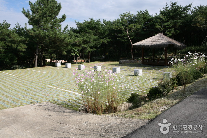 La Forêt Taehaksan (태학산자연휴양림)