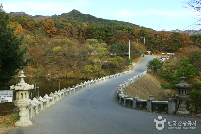 Parc national du mont Palgong (secteur du temple Donghwasa) 팔공산 국립공원(동화사 지구)