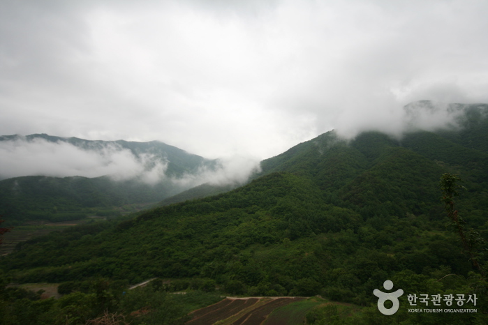 Parc National du Mt. Jirisan (Sancheong) (지리산국립공원 – 산청)