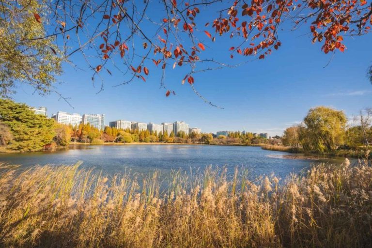 Parc du lac d’Ilsan (일산호수공원)