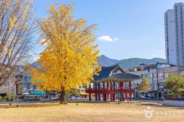 Jagyuru et Gwanpungheon (자규루 및 관풍헌)