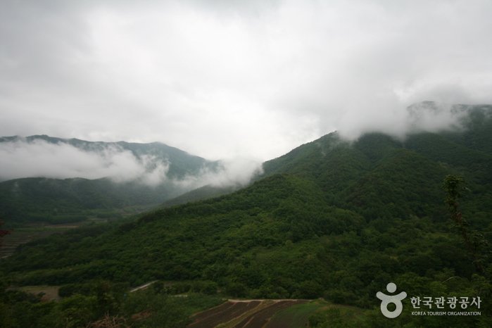 Parc National du Mt. Jirisan (Sancheong) (지리산국립공원 – 산청)