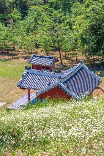 Tombeau royal Jangneung [Patrimoine Mondial de l&rsquo;UNESCO] (영월 장릉)